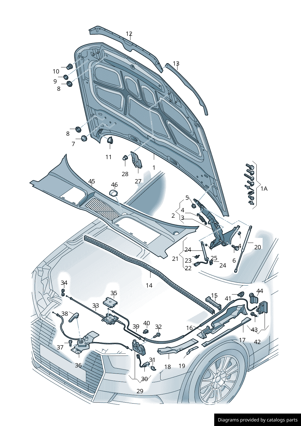 Car part diagram