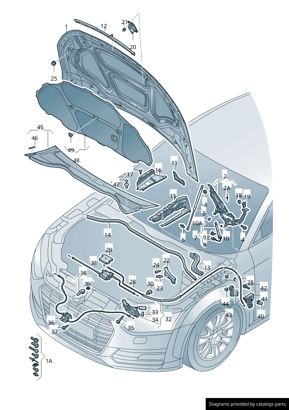 Car part diagram