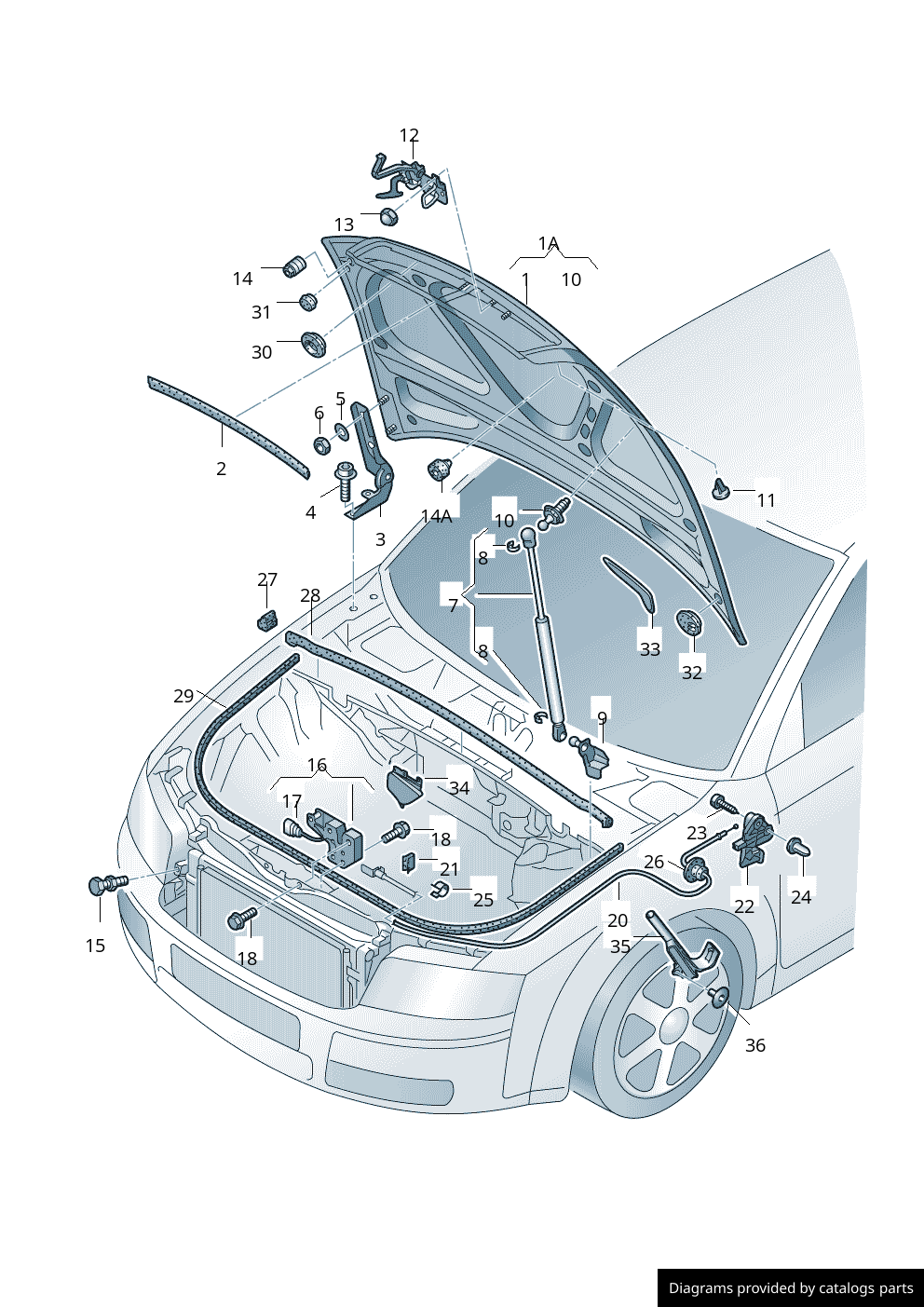Car part diagram