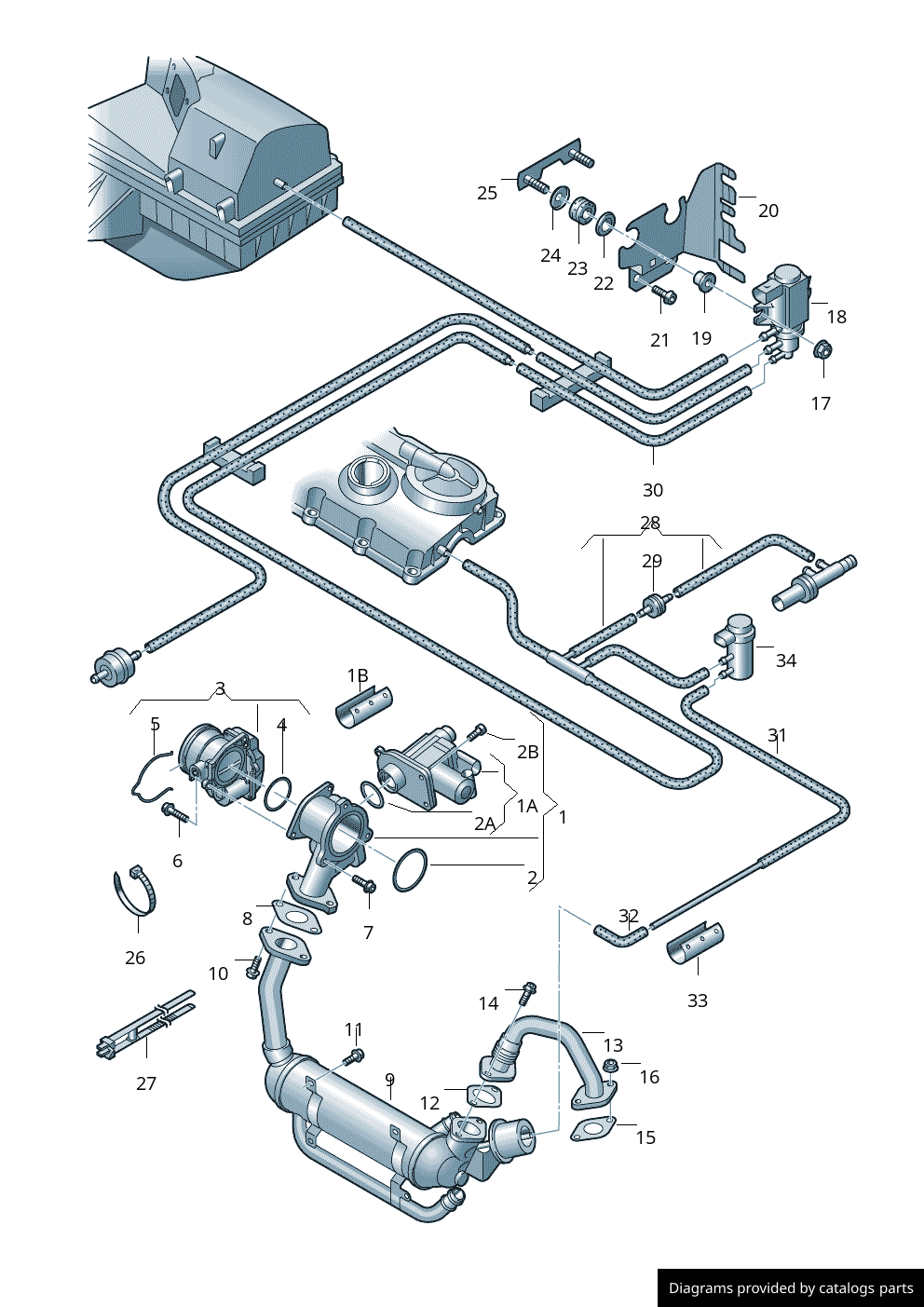 Volkswagen Audi Seat Skoda Vacuum Hose 03g131055q Lllparts