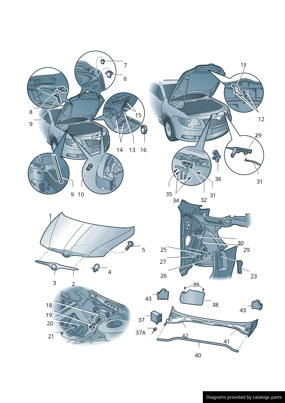 Car part diagram