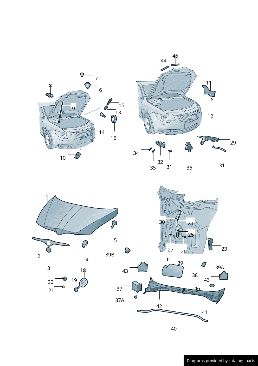 Car part diagram