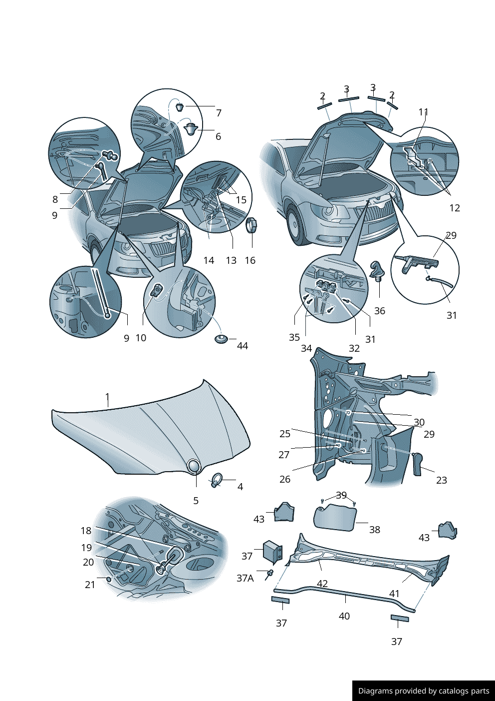 Car part diagram