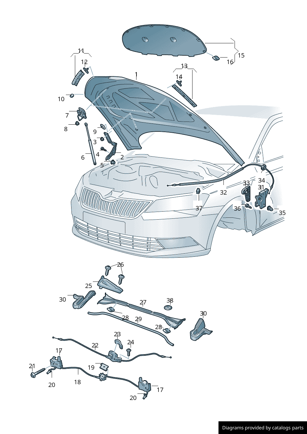 Car part diagram