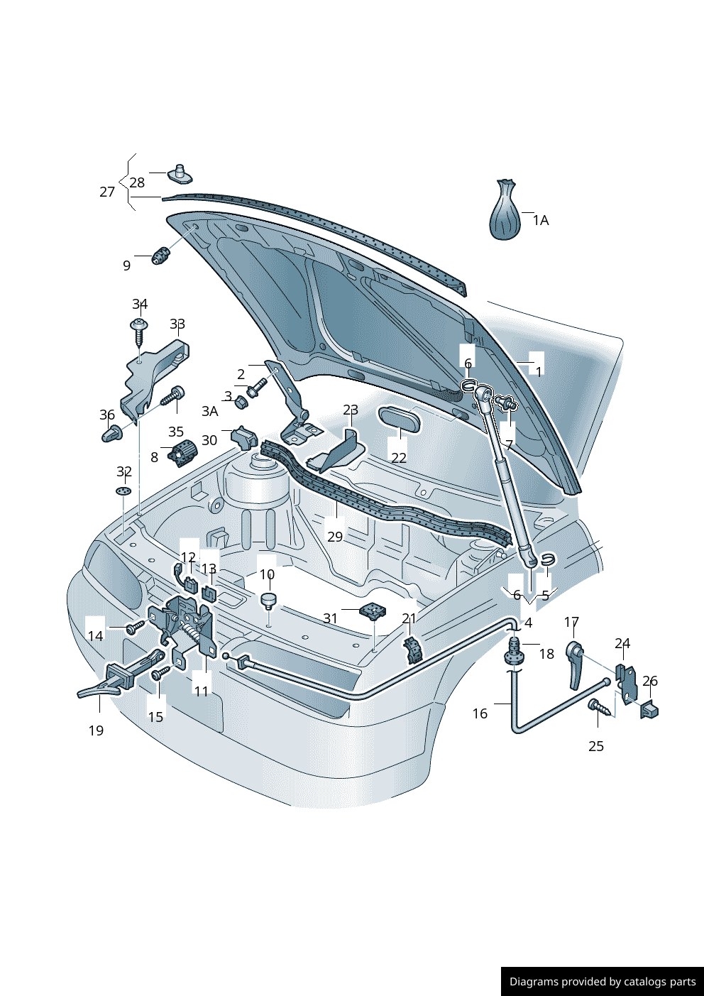 Car part diagram